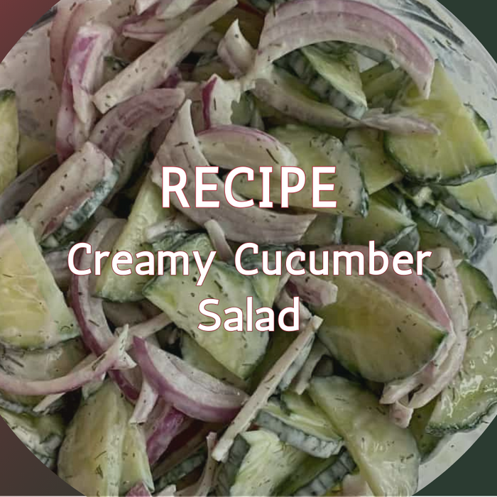 Creamy Cucumber Salad Recipe