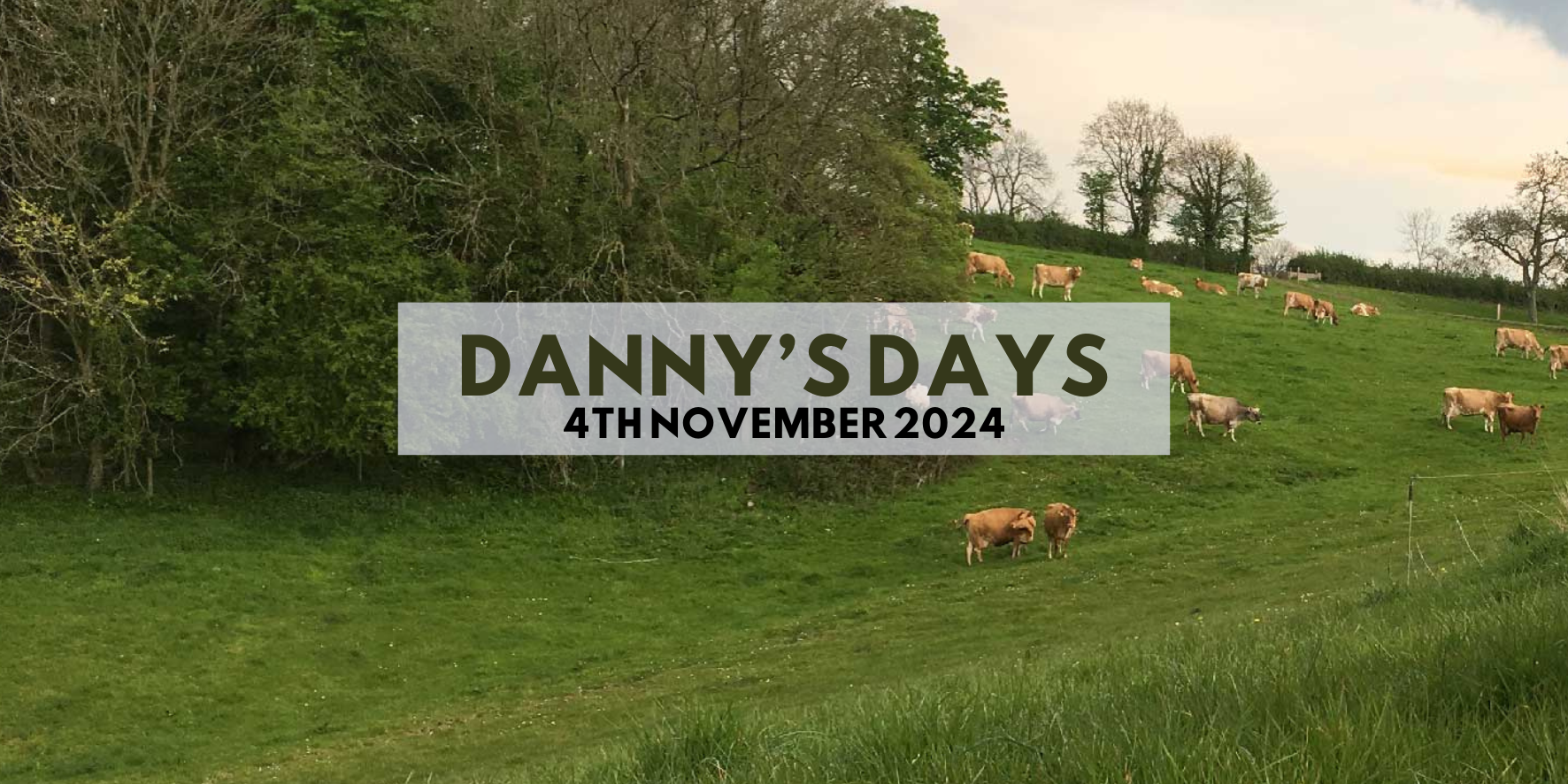 Danny's Days - 4th November 2024