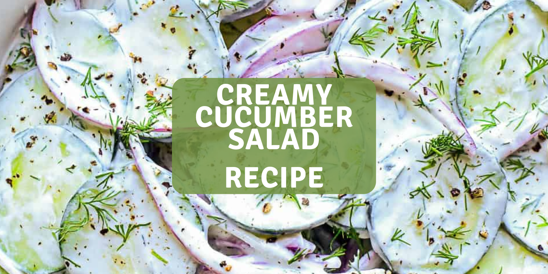 Creamy Cucumber Salad Recipe