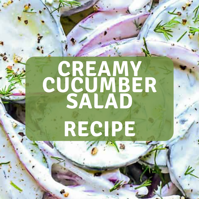 Creamy Cucumber Salad Recipe