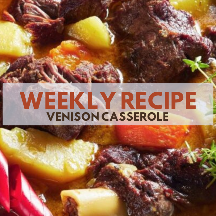 Venison Casserole Recipe