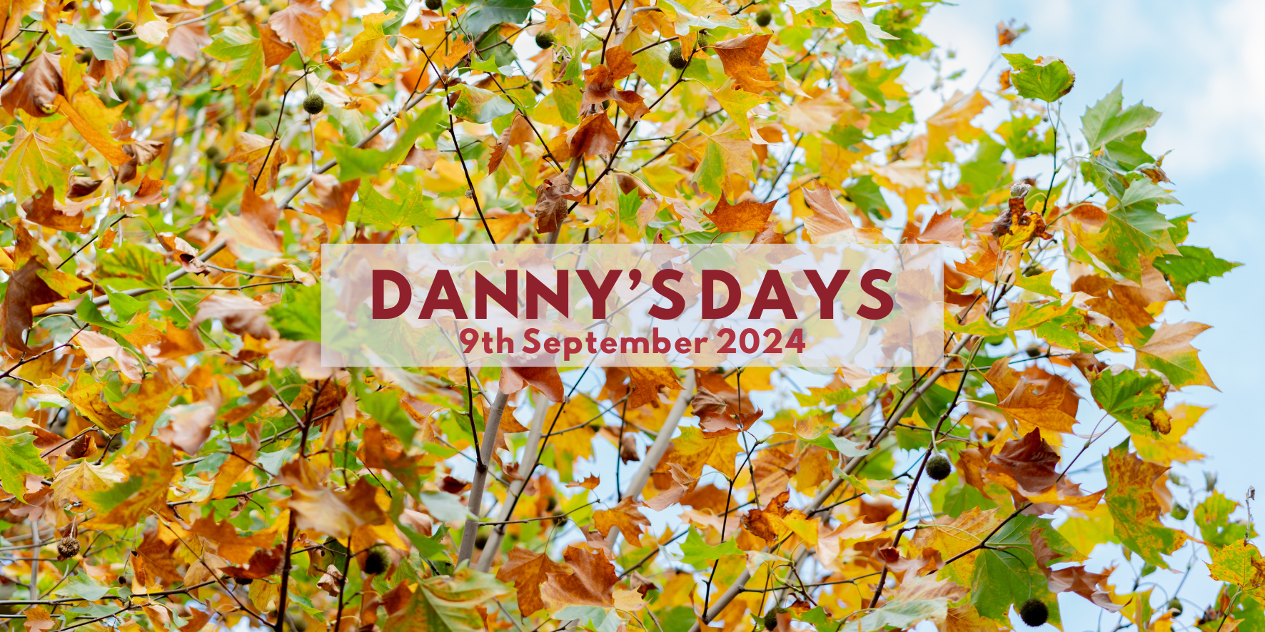 Danny's Days - 9th September 2024