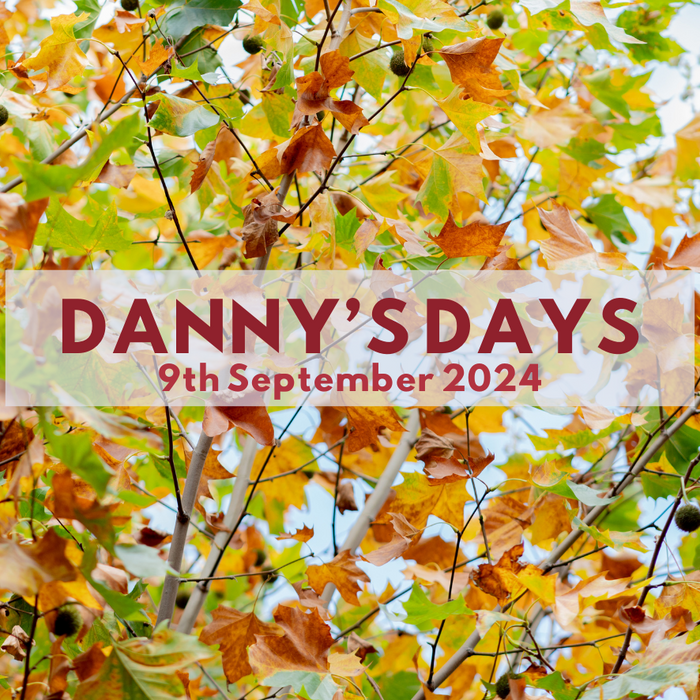 Danny's Days - 9th September 2024