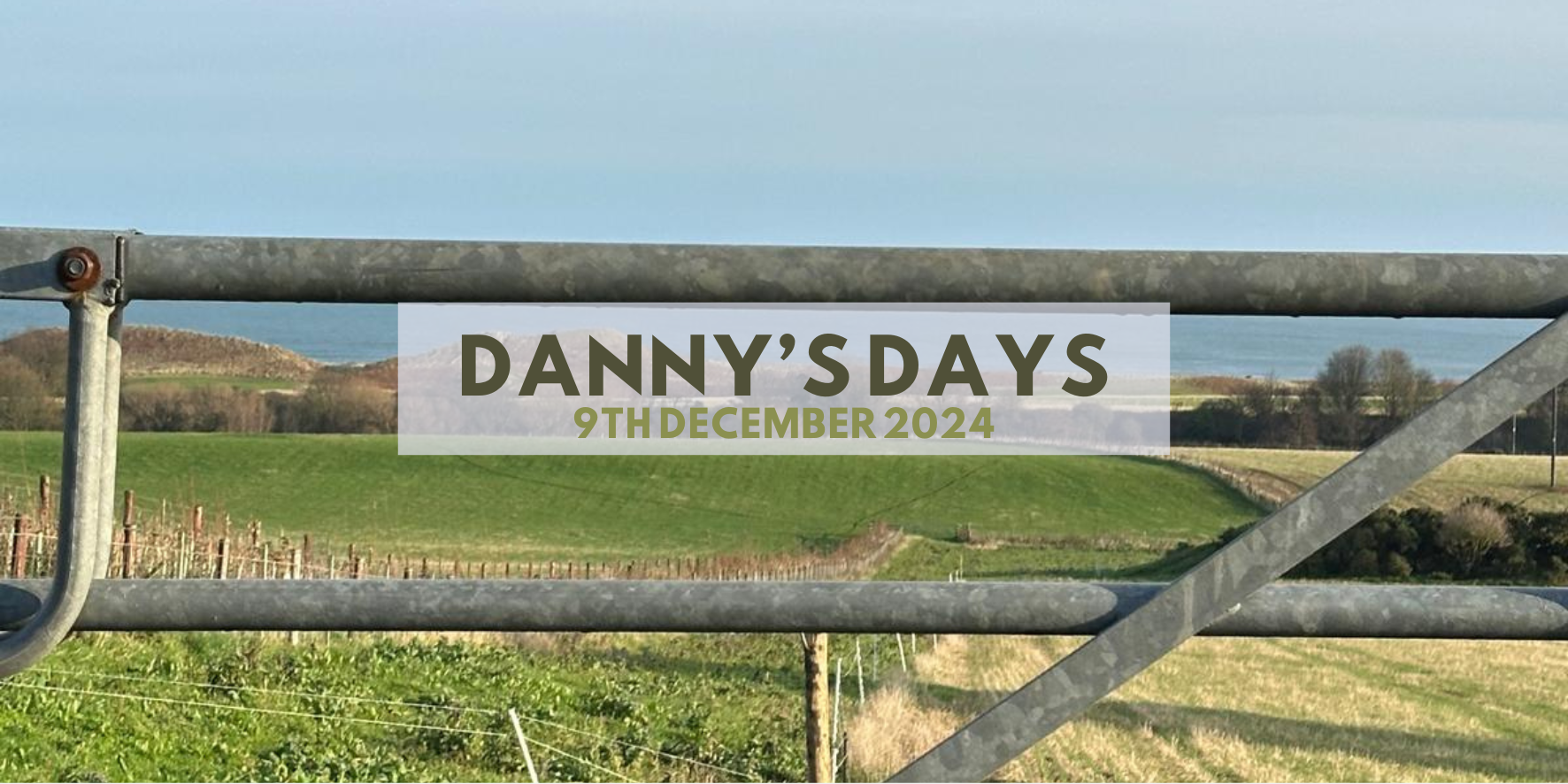 Danny's Days - 9th December 2024