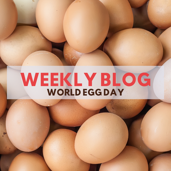 World Egg Day