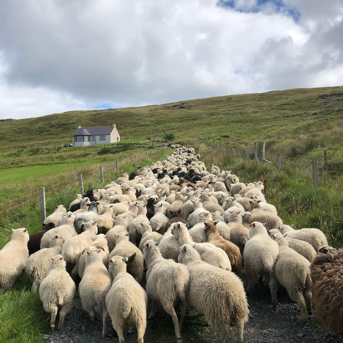 Danny's Days - 10th October 2022