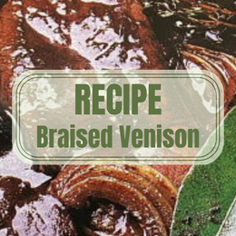 Braised Venison Recipe