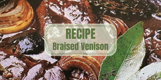 Braised Venison Recipe