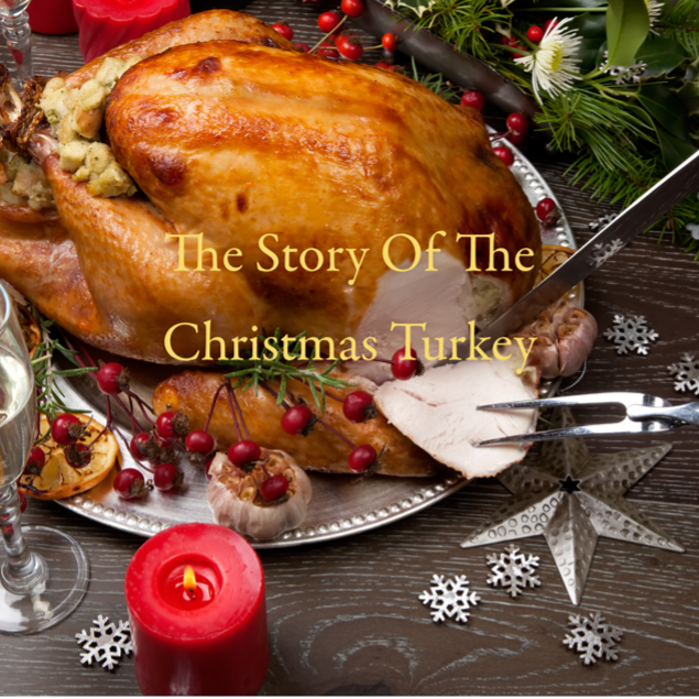 The Story of the Christmas Turkey