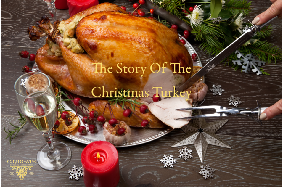 The Story of the Christmas Turkey