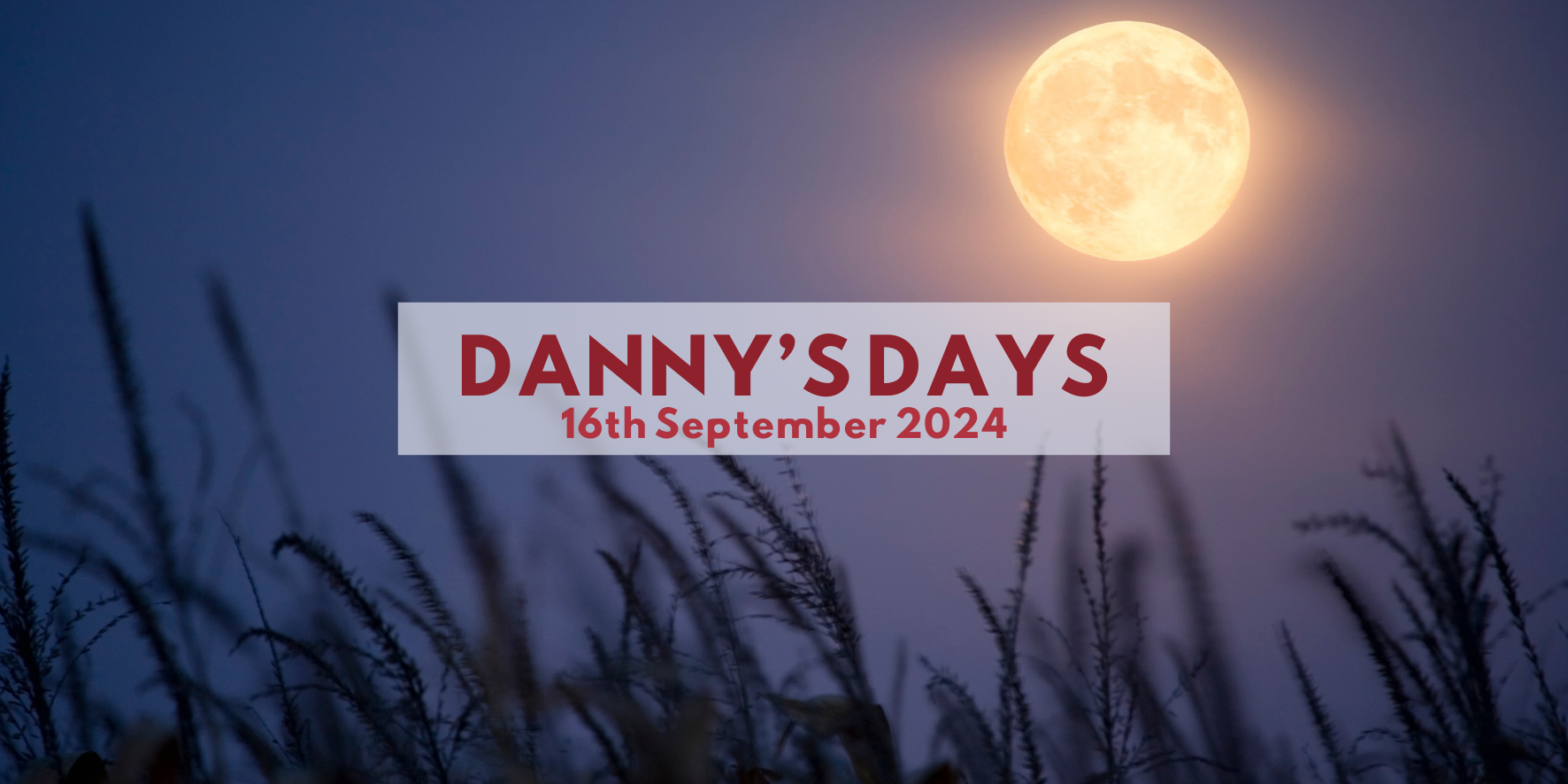 Danny's Days - 16th September 2024