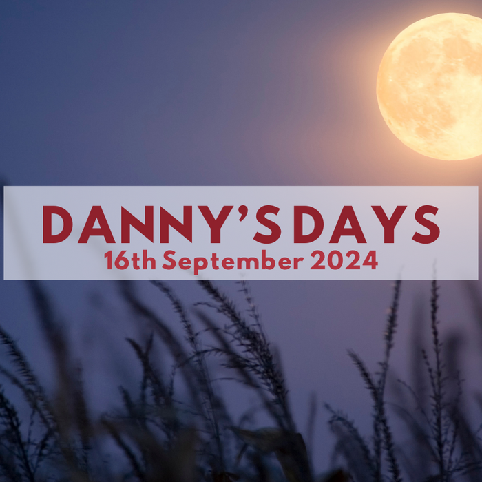 Danny's Days - 16th September 2024