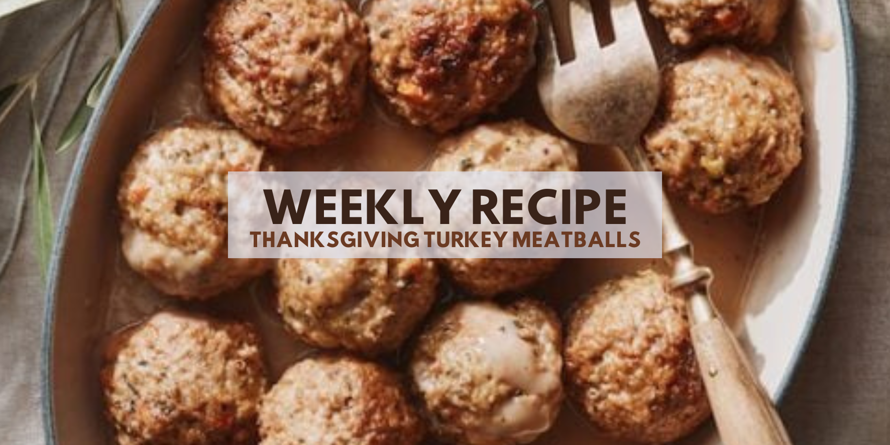 Thanksgiving Turkey Meatballs Recipe