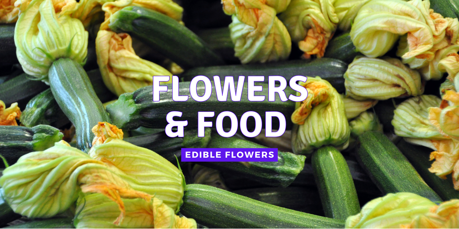 Flowers & Food