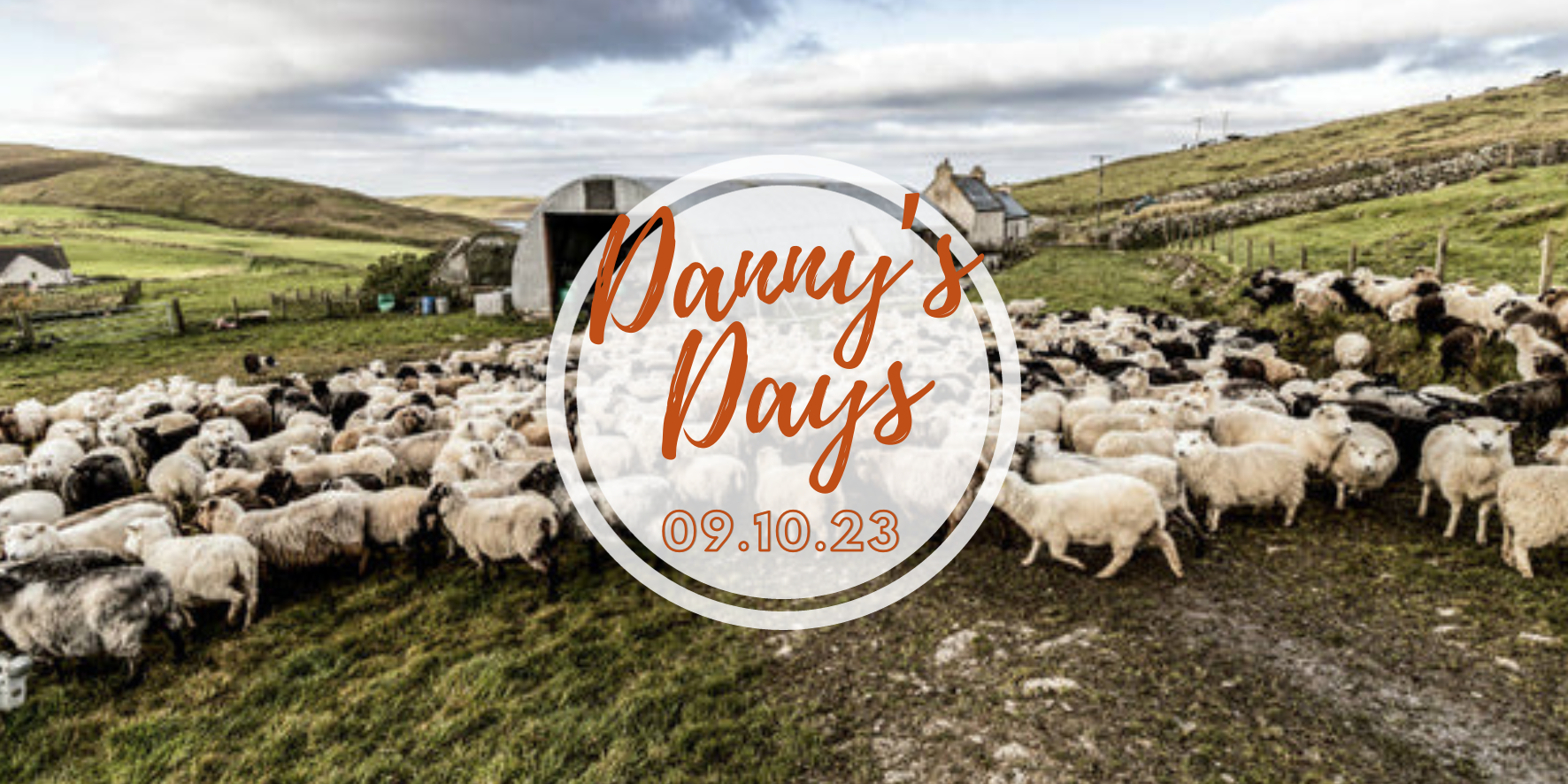 Danny's Days - 09.10.23 - Shetland Lamb