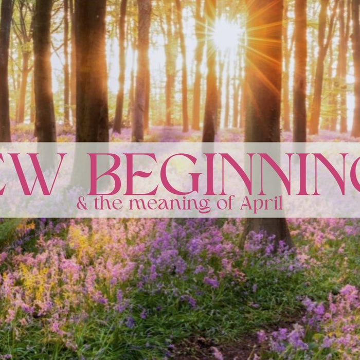 New Beginnings