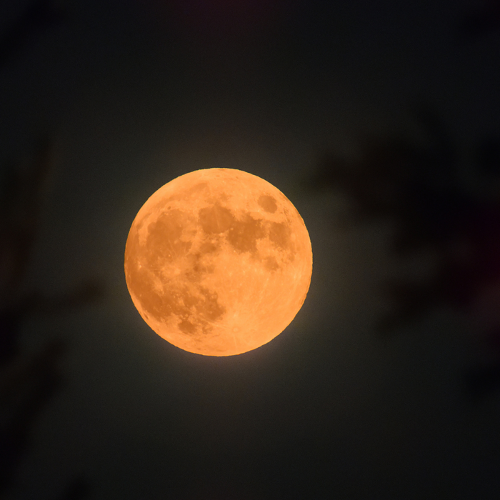 Danny's Days - 17th October 2022