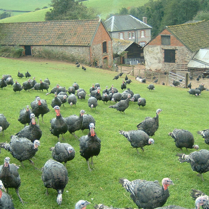 Danny's Days - 31st October 2022