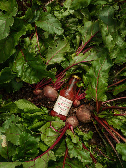 Higher Farm Ketchup 260g