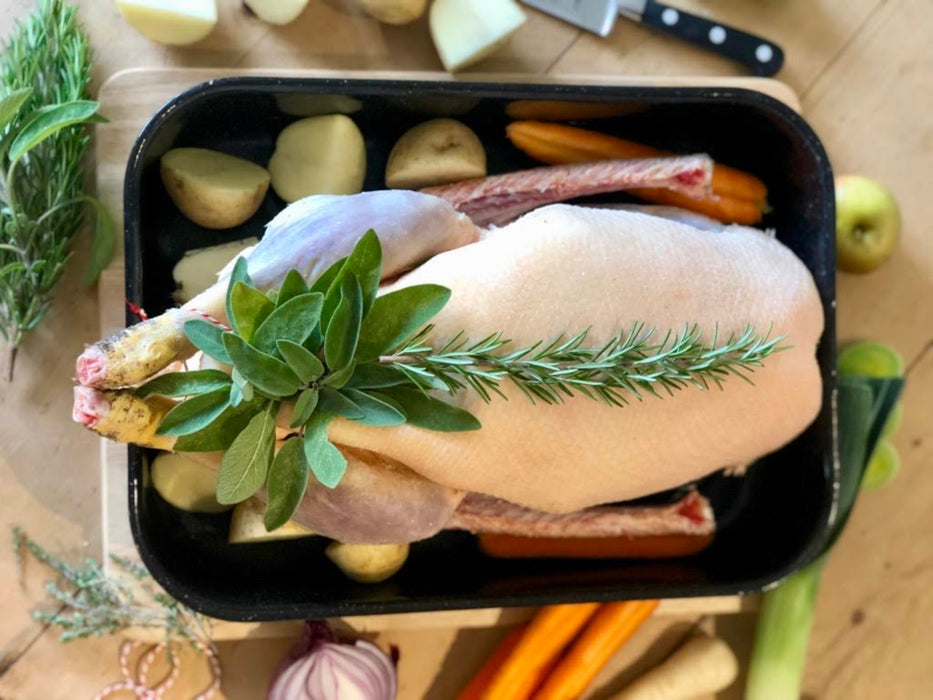 Free Range Goose